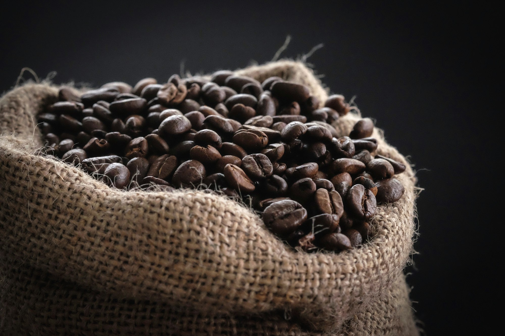 Coffee Forest Shade